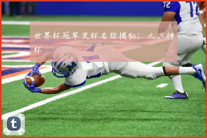 世界杯冠军奖杯名称揭秘：大力神杯