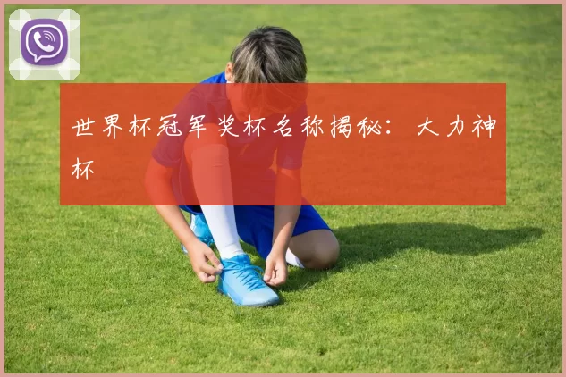 世界杯冠军奖杯名称揭秘：大力神杯