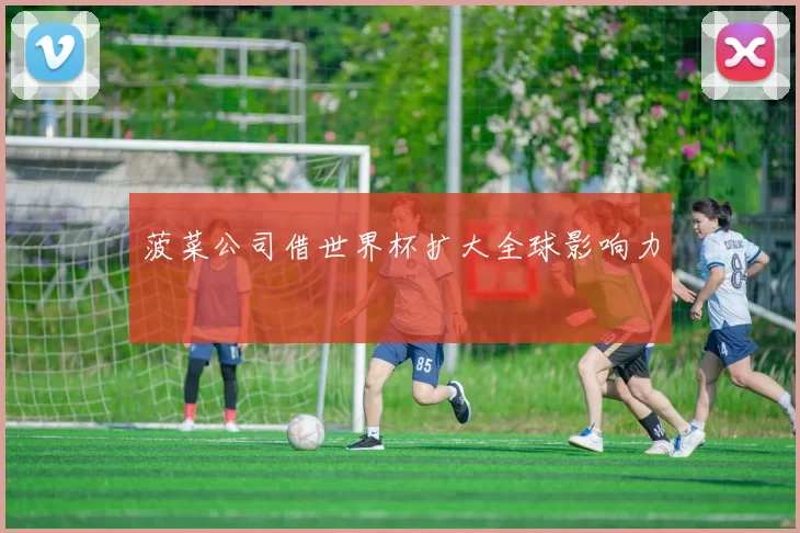 菠菜公司借世界杯扩大全球影响力