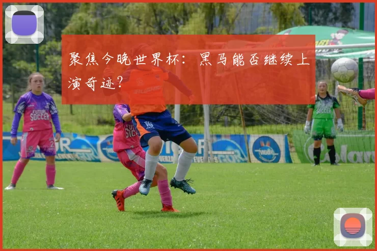 聚焦今晚世界杯：黑马能否继续上演奇迹？