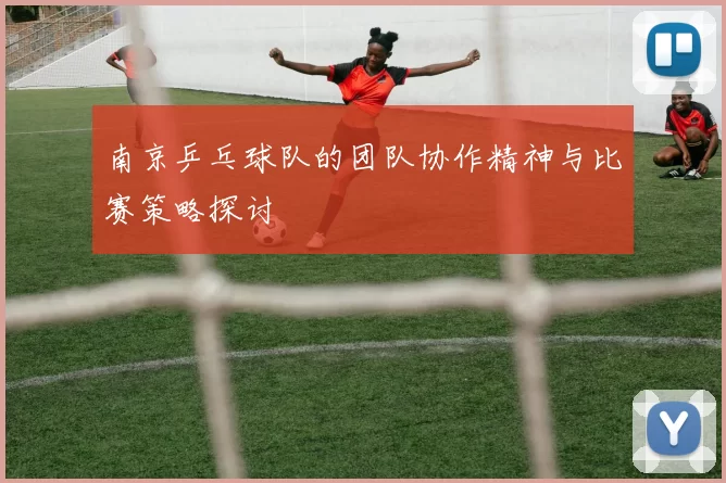 南京乒乓球队的团队协作精神与比赛策略探讨