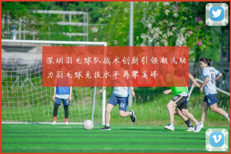 深圳羽毛球队战术创新引领潮流助力羽毛球竞技水平再攀高峰