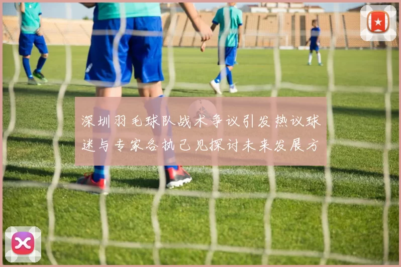 深圳羽毛球队战术争议引发热议球迷与专家各执己见探讨未来发展方向