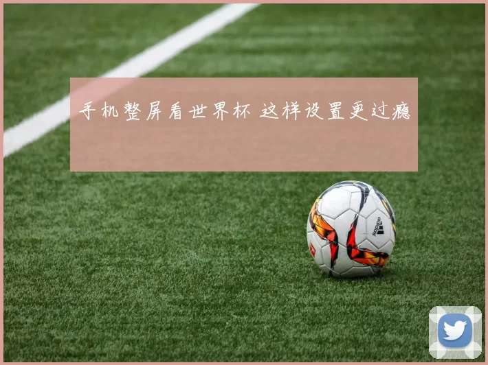 手机整屏看世界杯 这样设置更过瘾