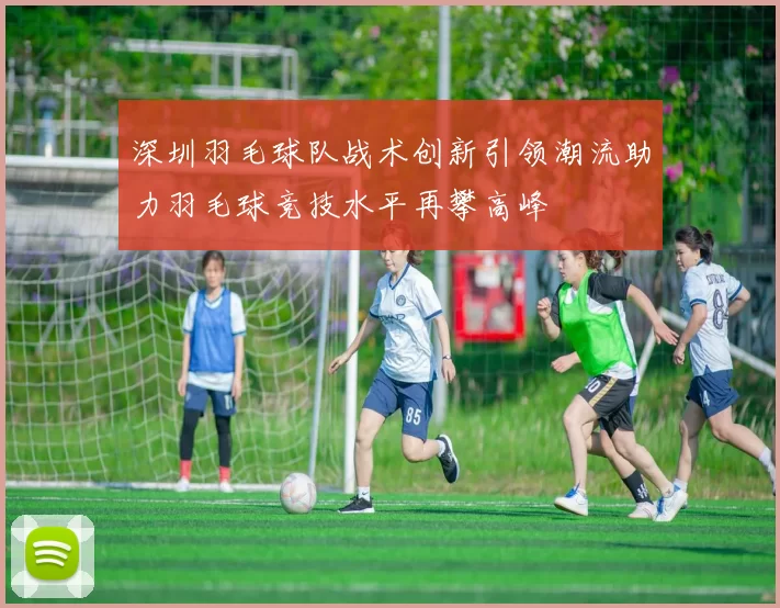深圳羽毛球队战术创新引领潮流助力羽毛球竞技水平再攀高峰