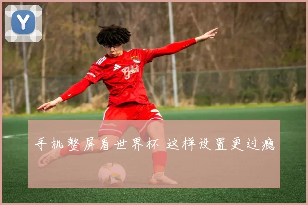 手机整屏看世界杯 这样设置更过瘾