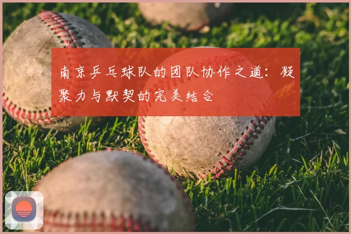 南京乒乓球队的团队协作之道:凝聚力与默契的完美结合