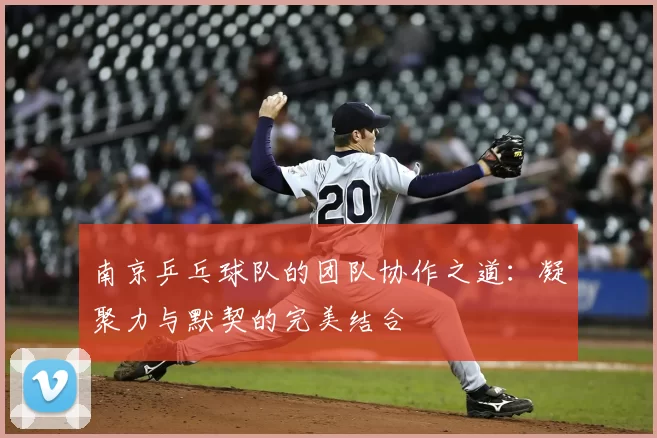 南京乒乓球队的团队协作之道：凝聚力与默契的完美结合