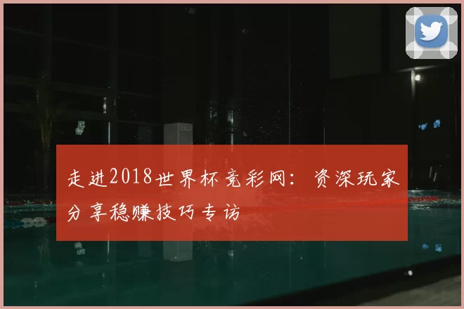 走进2018世界杯竞彩网：资深玩家分享稳赚技巧专访