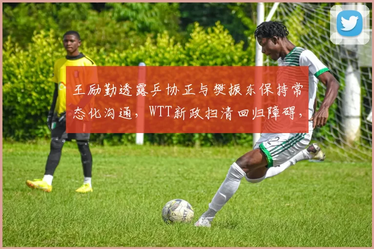王励勤透露乒协正与樊振东保持常态化沟通，WTT新政扫清回归障碍，双向奔赴仍待最终落定