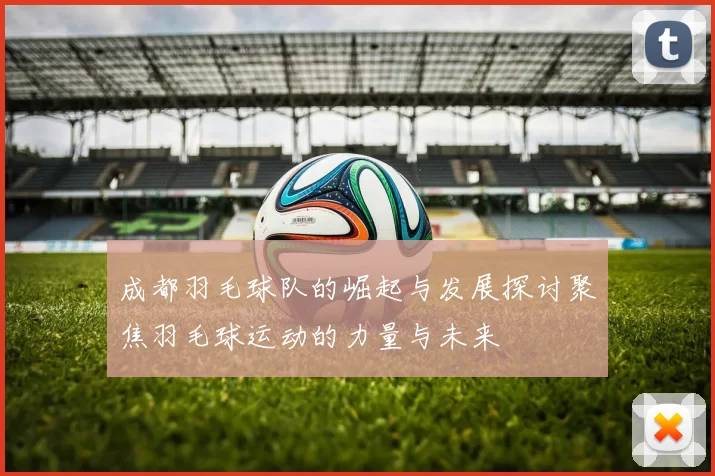 成都羽毛球队的崛起与发展探讨聚焦羽毛球运动的力量与未来