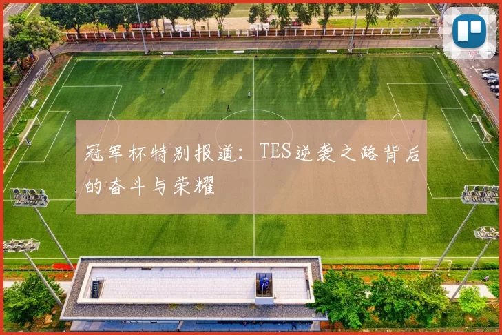 冠军杯特别报道：TES逆袭之路背后的奋斗与荣耀